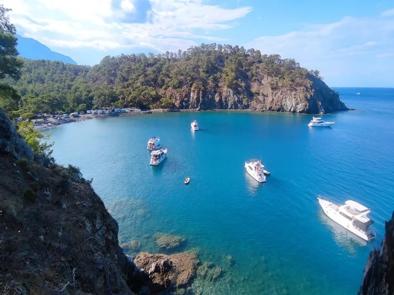 Alacasu Cennet Koyu Çamyuva - Nerede, Yol, Son Durum