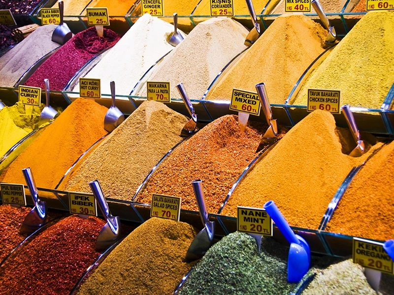 Day trip from Beldibi to Istanbul