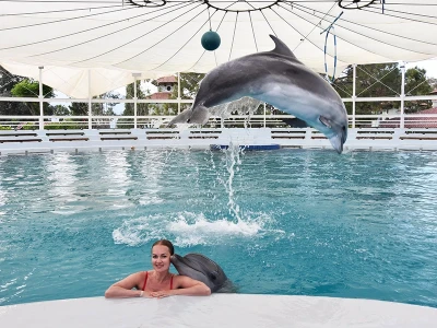 Плавание с дельфинами в Бельдиби