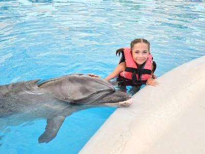 Swimming with dolphins in Kemer