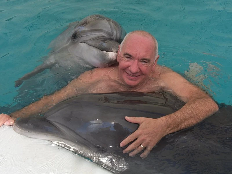 Плавание с дельфинами в Кемере