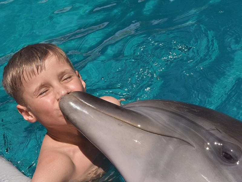 Плавание с дельфинами в Кемере