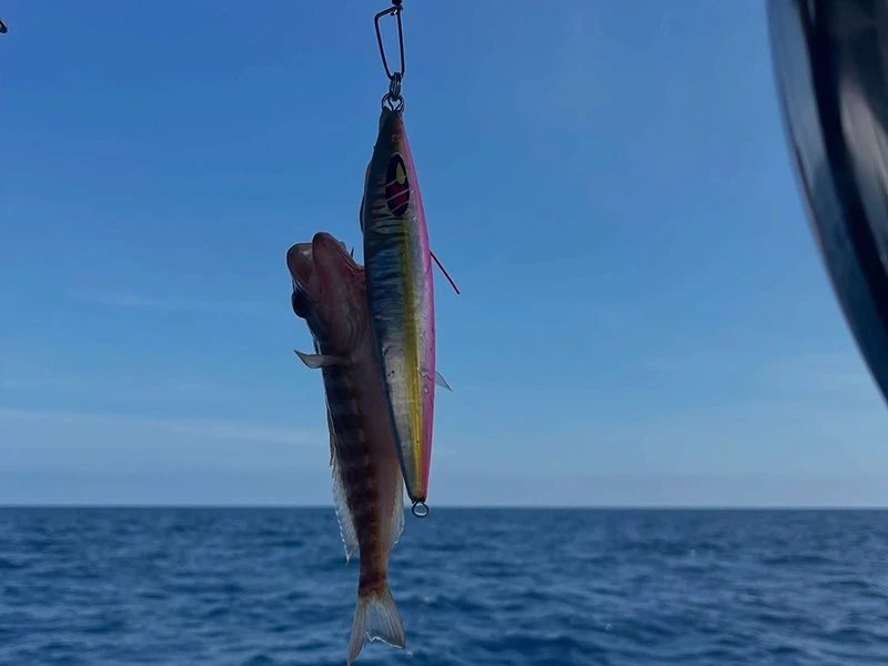 Beldibi fishing tour