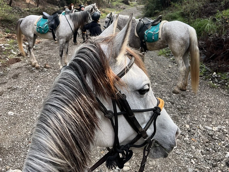 Kemer horse riding