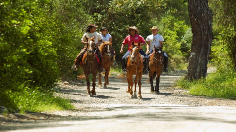 Horse Riding in Kemer