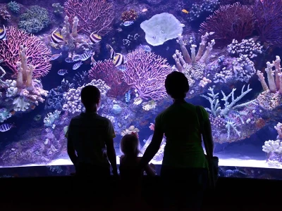 Antalya Oceanarium z Tekirova