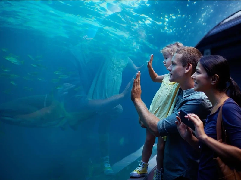 Antalya Aquarium tour from Beldibi