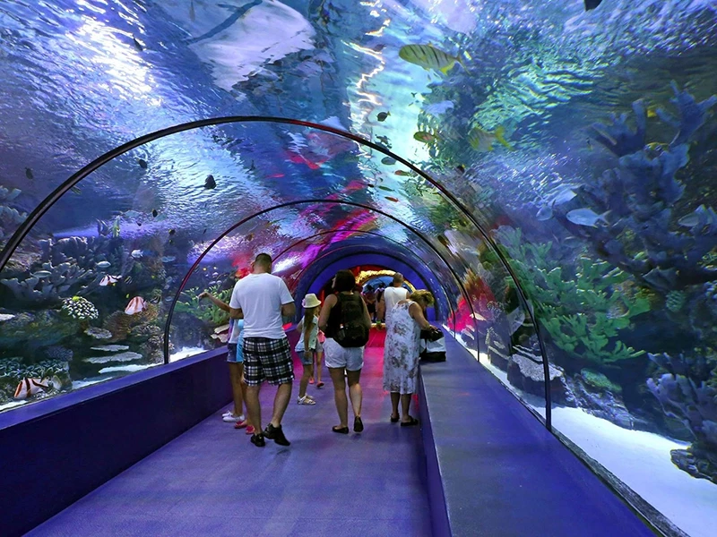 Antalya Aquarium tour from Beldibi