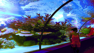 Antalya Aquarium from Kemer