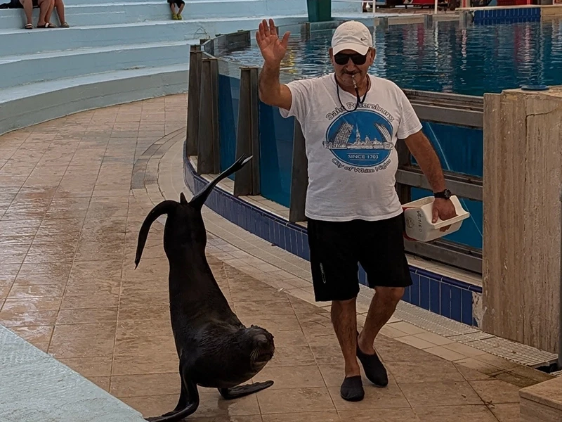 Dolphin show in Beldibi