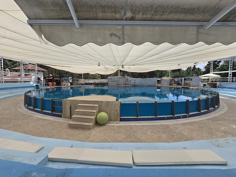 Dolphin show in Beldibi