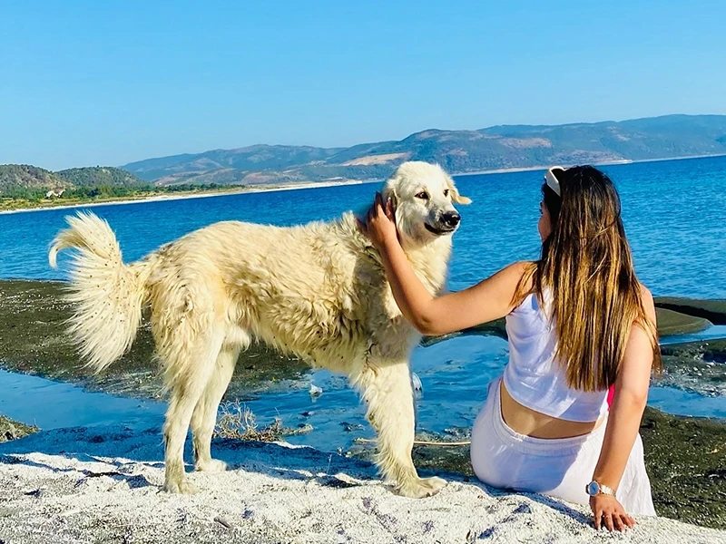 Day trip to Salda lake from Beldibi