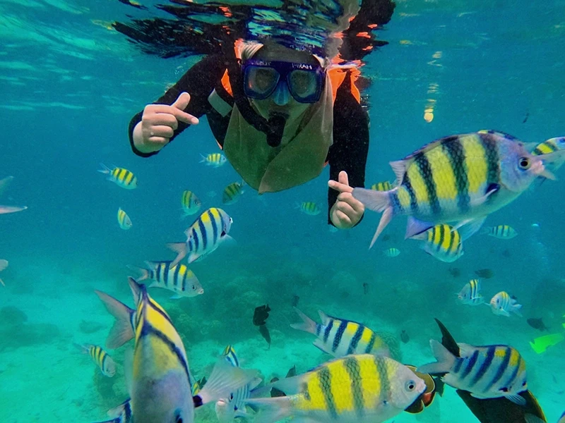 Snorkeling in Beldibi
