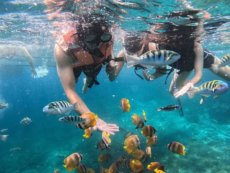 Snorkeling in Beldibi